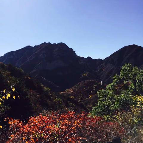 十月，层林尽染瓜果飘香。十月，齐心协力共赴征途