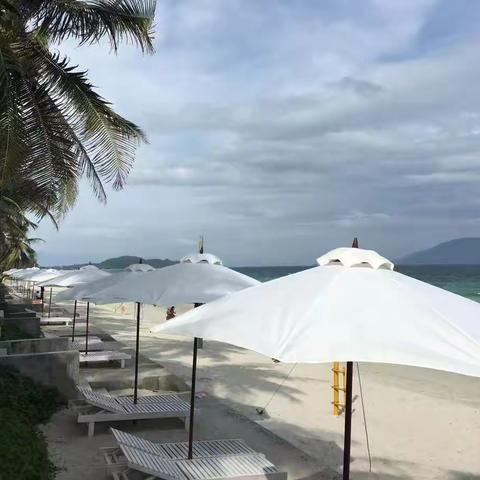 三禾农业乐享境外游