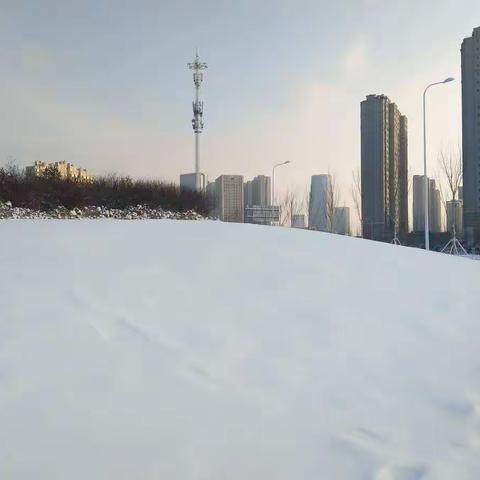 冬日里的雪