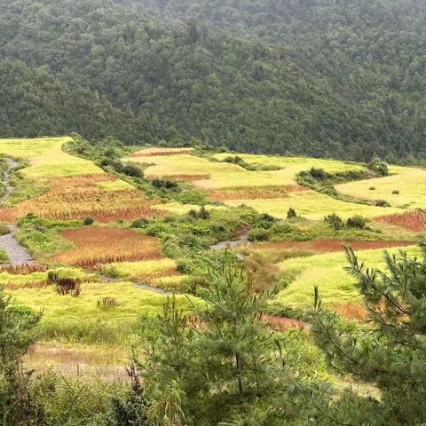 吉隆沟