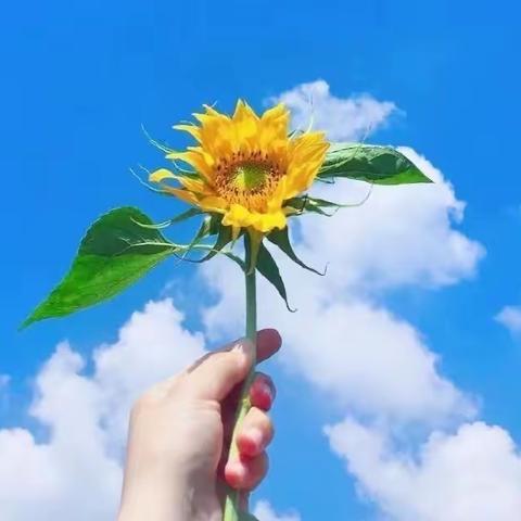 学雷锋 做志愿 净校园——-沣西中学志愿者活动纪实