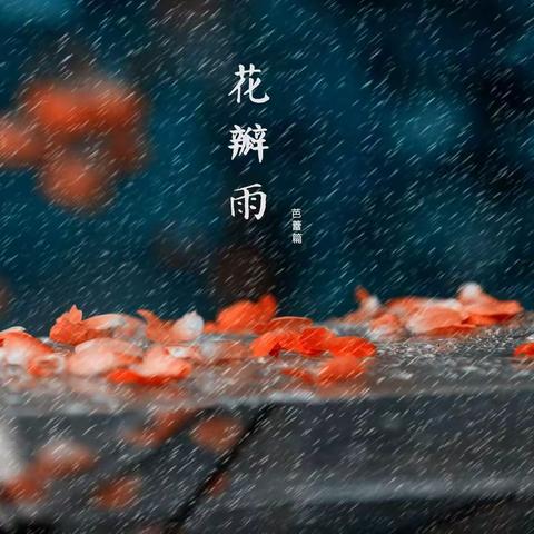 花瓣雨