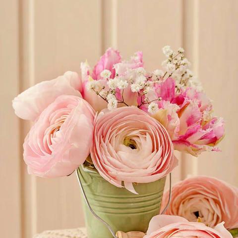 世界因我而美丽