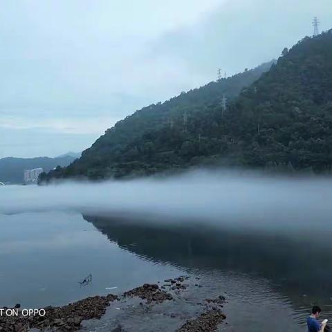 水至清，风至凉，雾至奇！唯有新安江！