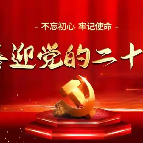 同心献礼二十大   矢志不渝跟党走 —— 定安县税务局开展喜迎党的二十大系列活动