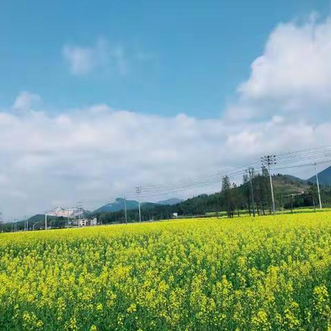 蒙山梅沙一路游