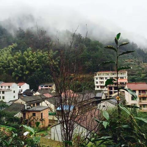 农家•山水•小村庄