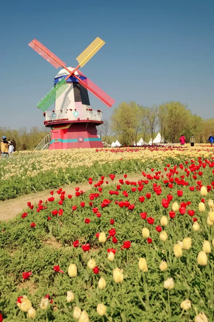 北京国际鲜花港