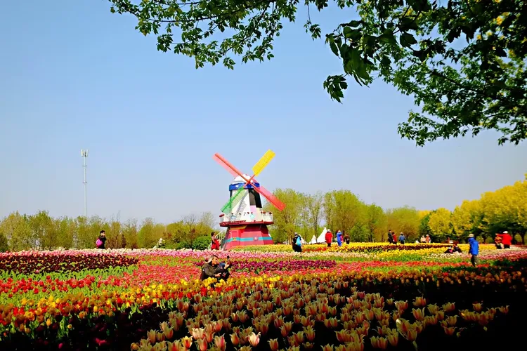 北京国际鲜花港