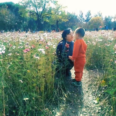 【江城采风】2016年10月北京奥林匹克森林公园