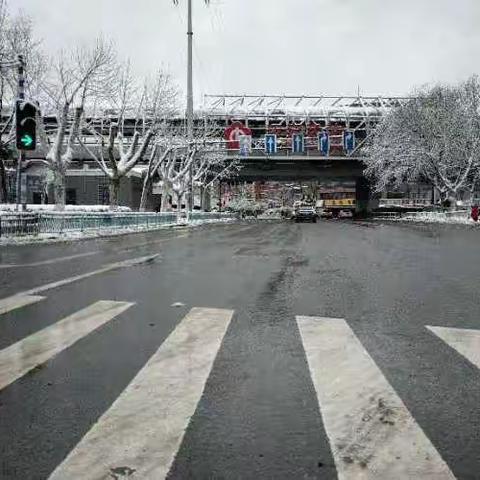 为了“一夜无雪”，他舍老弃小