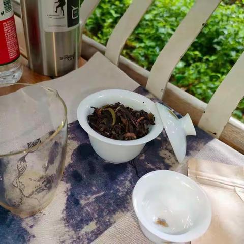 梦溪茶记：古树白茶