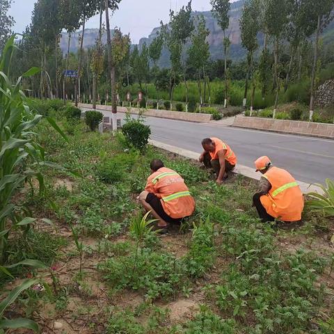 涉县交运局公路站对养护线路督导绿化修剪浇灌等工作