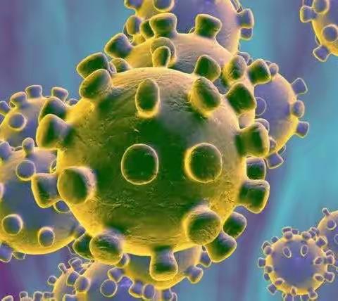 陪伴更多，快乐更多。