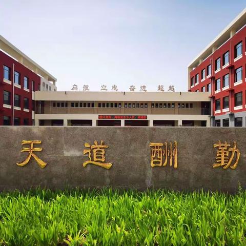 抓实课标培训，确保新课程落地生根 —— 第二实验小学教育集团中建城 校区新课标主题学习活动