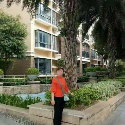 我的美篇