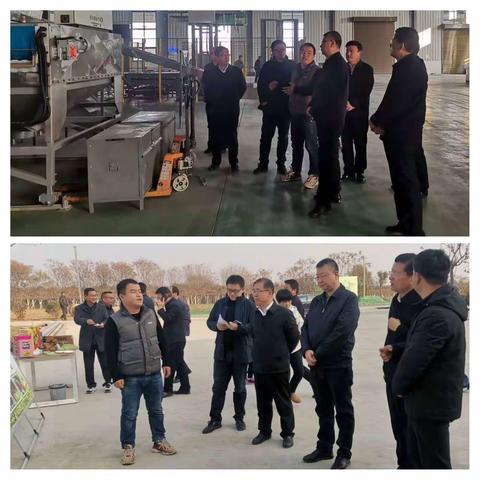 武功镇11月18日工作动态