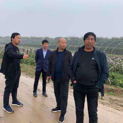 武功镇加强地质灾害隐患排查       确保辖区群众安全度汛