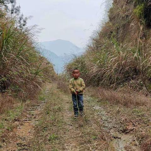 清明节和我