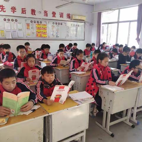 20201106语文周清题展评