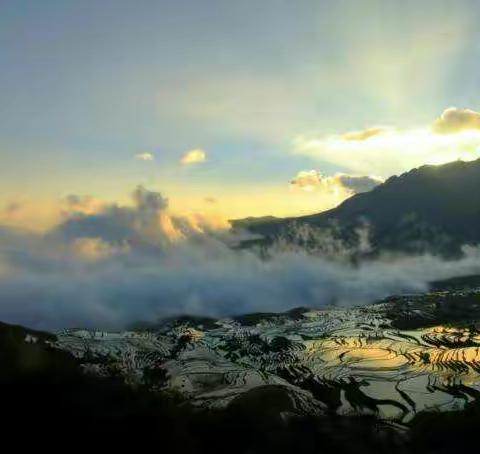 彩云之滇的梯田，红土地与红嘴鸥