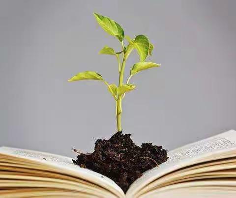 听课评课促交流，实践互助促成长——蒿坪镇中心小学开展新教师展示课活动