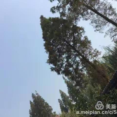 美丽的欢乐园