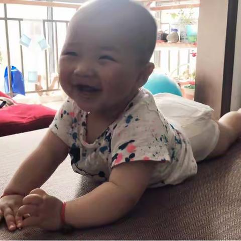 表情包