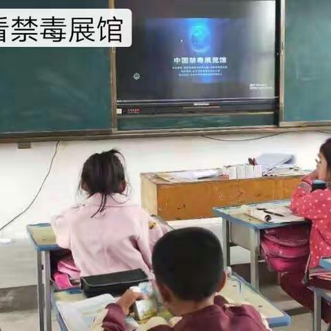 徐楼小学禁毒总结