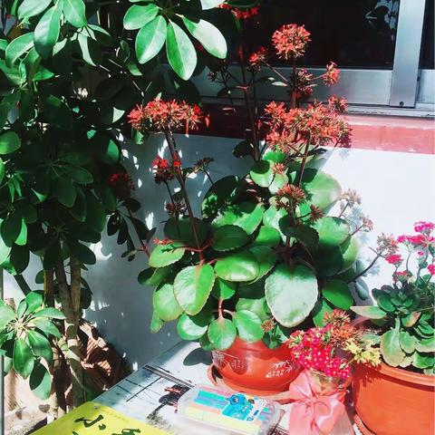 习惯养成与诗意栖居