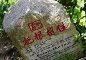 培根固本