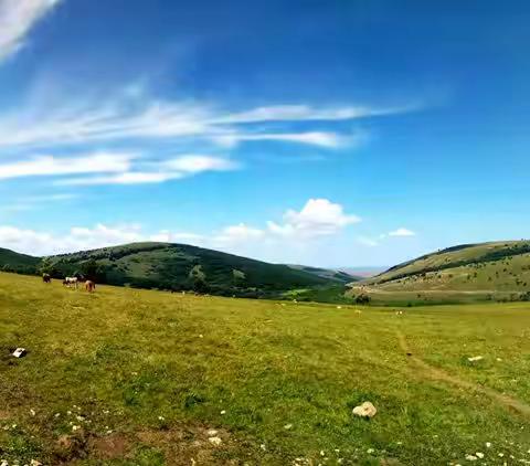 达达一一热阿线自驾