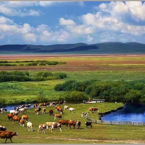 北行路书:乌拉盖 天边草原（8.1——8.3）