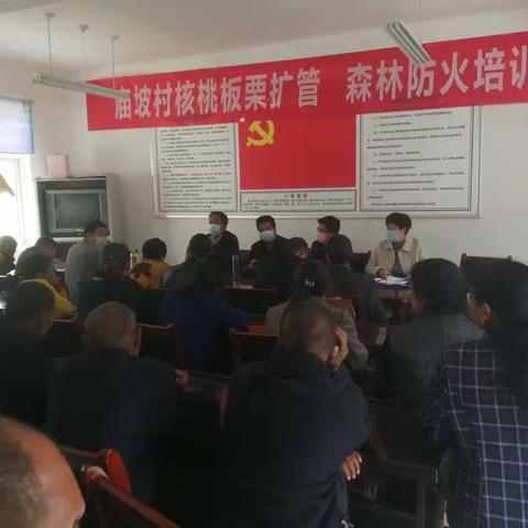 庙坡村召开板栗科管及森林防火培训会