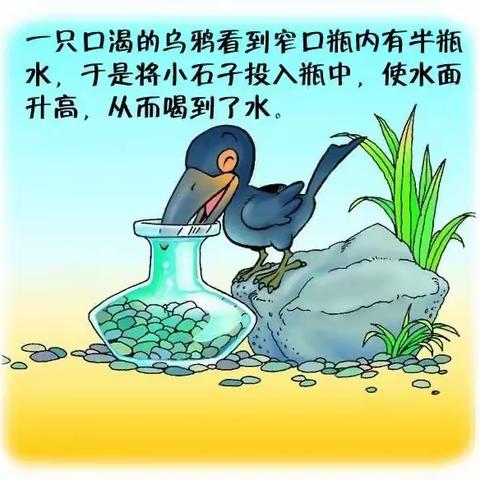 《乌鸦喝水》故事是真的吗？