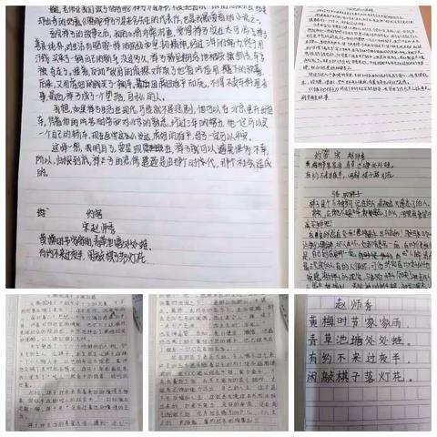 沁园中学2020级24班寒假作业第一组第1次检查反馈