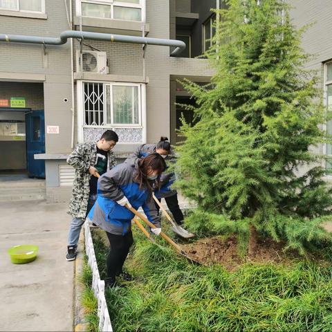 好邻居佳苑小区植树节活动——贡献力量，奉献绿色