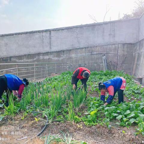 龙轩托养——快乐，就在“开心农场”