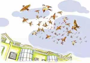 棕榈班，      ——日记篇，                   时间：4月25日下午🖼️，                   地点：幼儿园