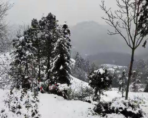 瑞雪兆丰年