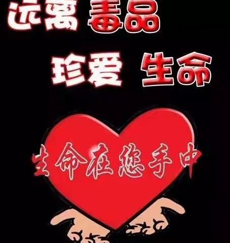 “手拉手远离毒品，心连心珍爱生命”【七（3）班主题班会】