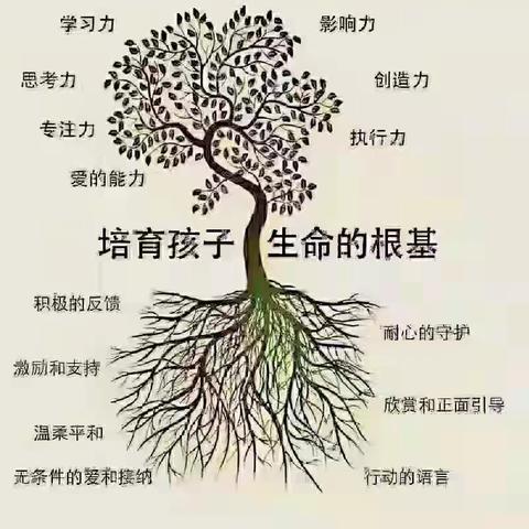 生命成长课之《学习动能营》五天四夜寒假班报名开启……