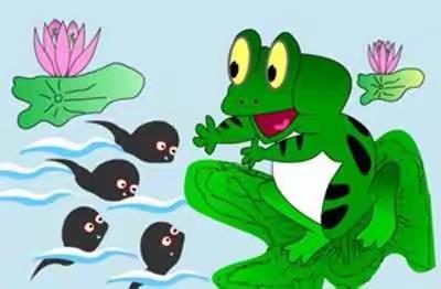 🐸🐸《小蝌蚪找妈妈》🐸🐸