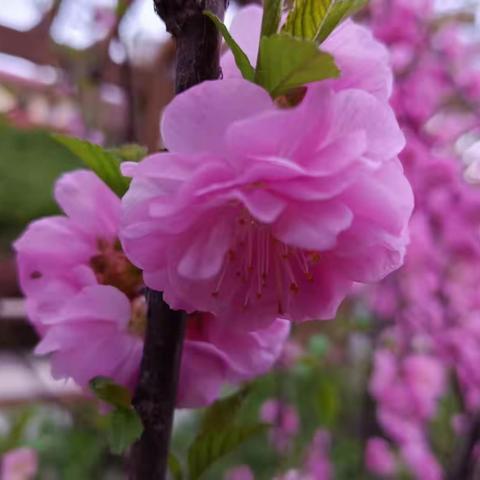 写给七岁儿子的一封信
