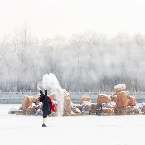 金昌   惊现雾凇奇观