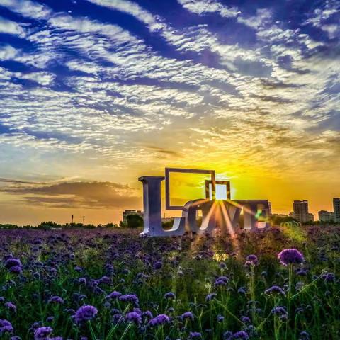 花城金昌，云卷云舒，霞光万丈