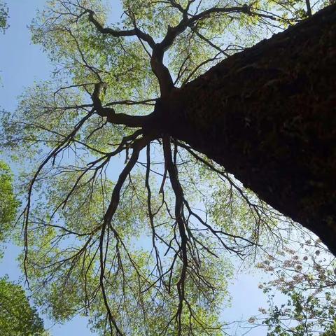 2017.4.18小城子村