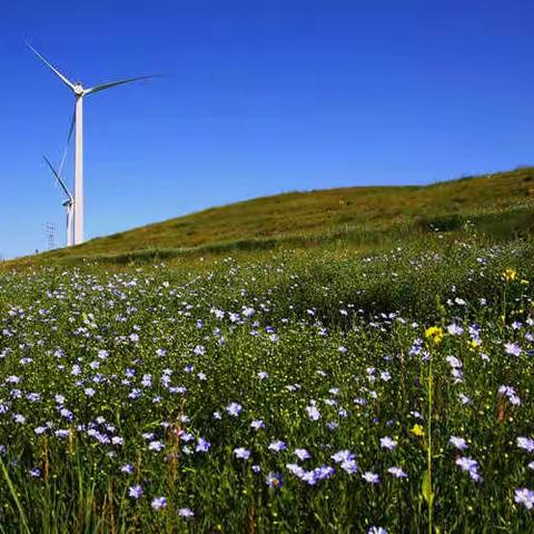 陕西师范大学实验小学 207班家长进课堂开课啦！