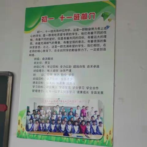 政治组林鹤鹏老师示范课《青春飞扬》