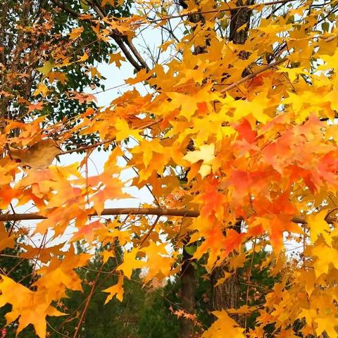 文华  阳光给力的美篇